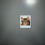 ThinkpadにChromeOSを導入してみました
