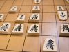なるほどぉ将棋界っておもろい☖ ～ 女流ランキングあり