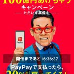 12/4はビックカメラで100億円