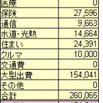 2019年1月の家計簿