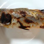 食用魚類が減ってる気がする