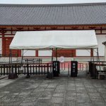 京都奈良旅行2日目　大仏みないけど行ってよかった東大寺