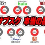 動画配信サブスク(VOD)見直し2024
