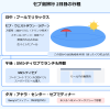 セブ島5泊7日旅行