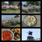 岡崎公園に花見2025